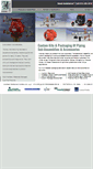 Mobile Screenshot of cooneymanufacturing.com